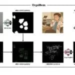 大学院生のアイデアでAIを活用した独自のオルガネラ画像解析技術を開発　長崎大学