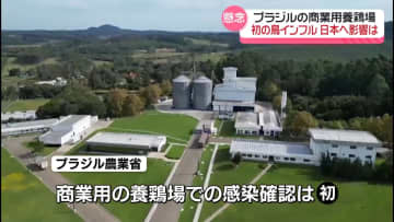 ブラジルの商業用養鶏場で鳥インフルエンザの感染を初確認、日本への供給に影響が出る可能性も