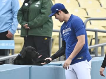 大谷翔平　試合前にワンちゃんと交流　サプライズのプレゼントにスタッフもみな笑顔