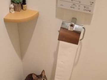 「どうして待っているんですか？」　トイレの光景に驚いたワケに「あるある」「トイレの神様だ」