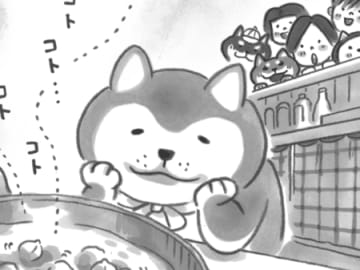 お鍋がコトコト…。「なんか幸せなんだよねぇ～」【柴犬食堂#26】