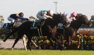 キラーアビリティの競走馬登録抹消…インドで種牡馬入り