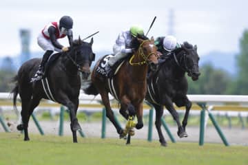 【尖閣湾特別】アンテロースがしぶとい粘り腰を発揮…待望の2勝目をマーク