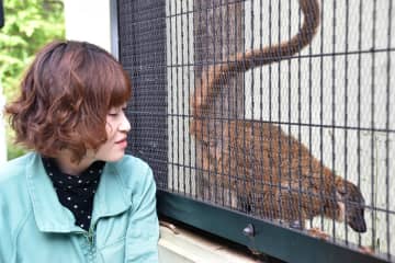 動物たちの“素顔”に密着、園の日常も発信　川崎・夢見ケ崎動物公園が動画