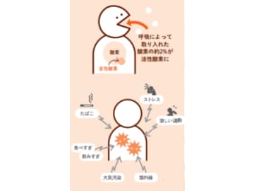 野菜・ナッツ・緑茶で血管のサビ落とし！活性酸素を抑える食習慣【眠れなくなるほど面白い 図解 デトックスの話】