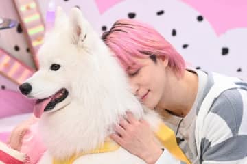 真っ白もふもふ天使！令和のバズり犬・サモエド！佐久間大介「人に抱きついてる感じですよ」とメロメロ