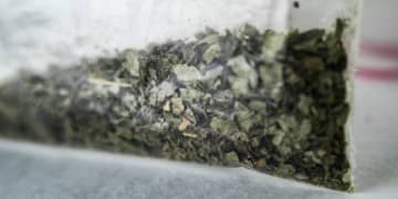 なぜ今“大麻”なのか？　「ダメ。ゼッタイ。」四半世紀にわたる訴えも空しく…摘発“急増”の背景にある“意外な理由”【専門家が分析】