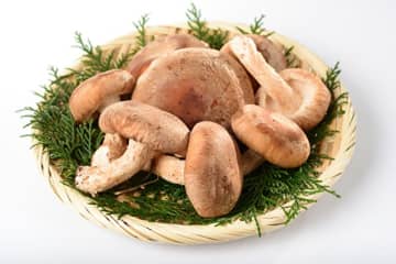 しいたけが白っぽくなってるけど…食べられる？賞味期限はどれくらい？傷んでいる時のサインは？