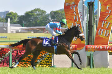牝馬三冠アーモンドアイ 芝GI9勝・通算15戦11勝「抜群のルックスと圧倒的パフォーマンス」【もうひとつの最強馬伝説】