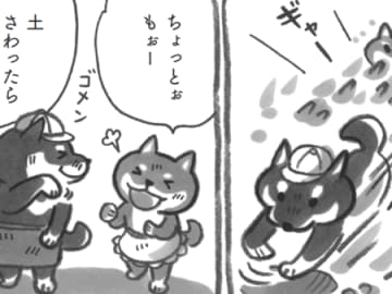「土をかくんじゃない！！」今日はみんなで山へ行きます【柴犬食堂#27】