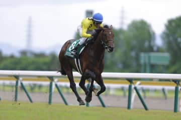 【新潟大賞典】シリウスコルトが重賞初制覇…武豊サブマリーナは2着