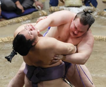 末恐ろしい安青錦、勢い止まらず　ウクライナ出身で入幕2場所目