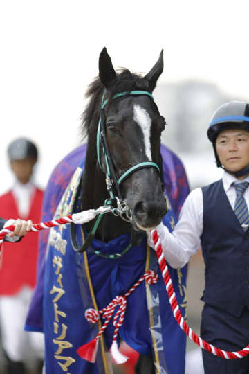 黒岩陽一調教師 JRA通算200勝達成