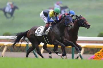 【東京7R】ラブリージャブリーがデビュー2連勝