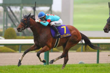 【オークス登録馬】エンブロイダリーなど20頭