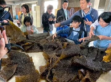養殖がごめ昆布商品の試食が好評 温室効果ガス排出ゼロへ富山市でセミナー かね七など協賛