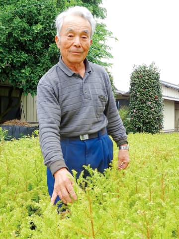 1日3千本を植えられたら一人前　苗木の供給体制を構築、生産者の育成も　埼玉・飯能　スギ・ヒノキ生産、滝田早苗さん／全国植樹祭　森の守りびと（4）