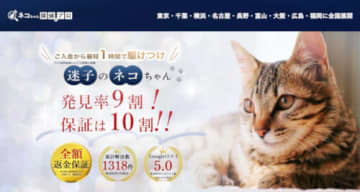 迷子猫の捜索・保護の「キャットバンク」、「猫を保護できなければ全額返金保証」の捜索サービスを全国で本格展開