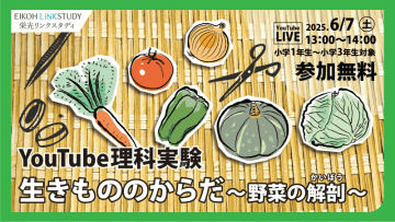 オンライン理科実験「生きもののからだ～野菜の解剖～」を6月7日に無料開催、栄光リンクスタディ