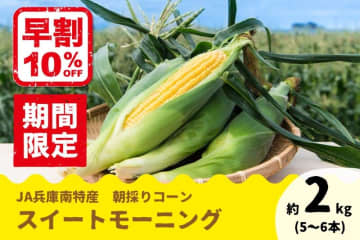 兵庫県産「スイートモーニング」の予約販売開始！ 先着100箱限定で早割価格10％OFF！今年から新規格登場。
