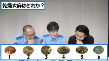 警視庁「乾燥大麻はどれ？」YouTuberっぽい薬物クイズが難しすぎる