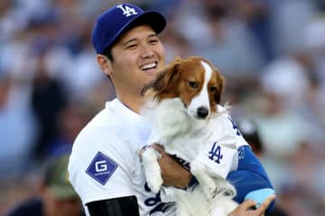 「おれより良いもん食ってる…」大谷翔平、２歳デコピンに贈った“絶品ケーキ”が話題！「自分より豪華な誕生日」「羨ましい」