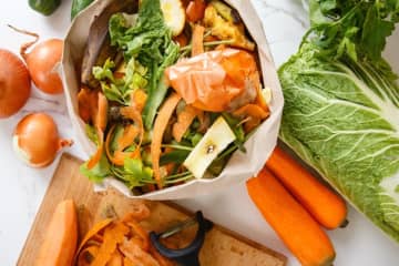 ママ友のお家では「生ごみ処理機」を使っているそうです。興味はあるのですがなかなか手が出せずにいます。どのくらい費用がかかるのでしょうか？