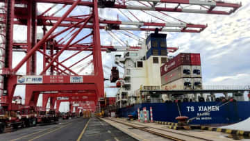 中国最大のドリアン海運輸入港、新たに新鮮果実1564トンが到達
