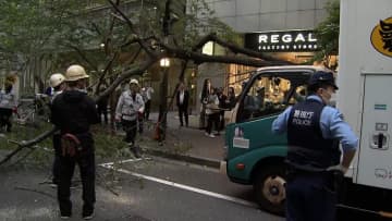 「街路樹が倒れて通行できない」数メートルの木が路上をふさぎ撤去作業で一時通行止め　ケガ人無し　東京・中央区日本橋