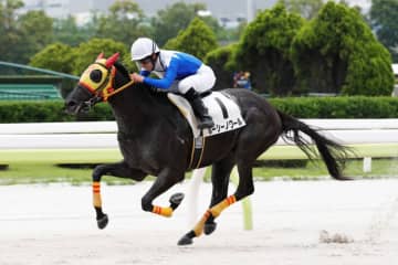 【TCK】ルーキー杉山海波騎手、40戦目で待望の初勝利