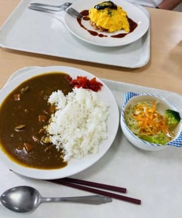 オムライスを作っていたのに→完成した「チャーハン」に8.3万人驚がく　どうしてそうなった？本人に聞く