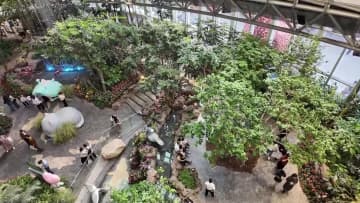 中国・重慶市でインバウンド消費が活発化、購入時税還付も推進力に