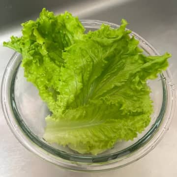 【レタスの水切りめんどくさい問題】家にあるものでサクッと終わる裏技が便利すぎた