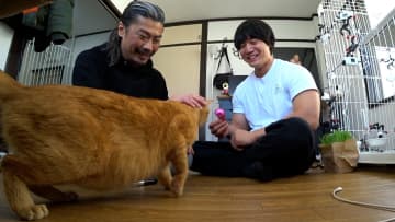 青木マッチョ、初めての動物病院へ…しかし保護猫・ヴィクトリアとの関係性に亀裂が？「あんなに仲良くなれたのに」