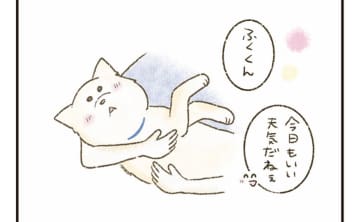 飼い主は名乗り出なかった...放置された老犬が愛護センターで迎えた温かな最期【たまさんちのホゴイヌ⑤】