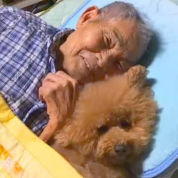 『約４ヵ月前に亡くなった祖父母』犬との何気ない日常を振り返ったら…あまりにも愛にあふれた光景が48万再生　心温まる尊い記録に思わず感動