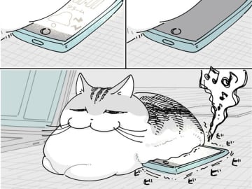アラームは気にならない猫　反応した『音』に「笑った」「ハンターの血が騒いだか」
