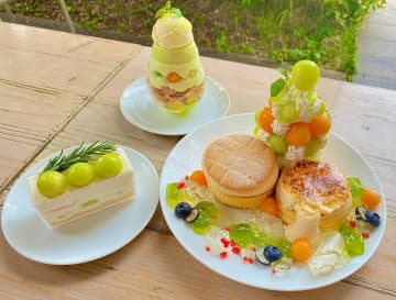 TAMAGOYAから今が旬のメロンスイーツ3種が登場　～メロンづくしのパンケーキやパフェに思わずメロメロン～