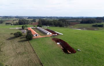 ブラジル産鶏肉、輸入停止相次ぐ　鳥インフル、日本にも影響