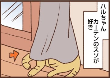 【吉川さん家の猫事情】#94話 ネコのおもしろカワイイところ♪