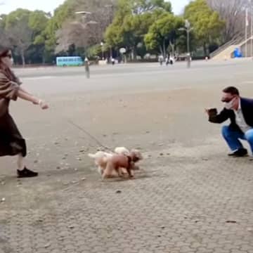 公園でおじいちゃんと待ち合わせ→７ヶ月ぶりの再会で犬が…発見した瞬間の『尊い光景』に「嬉しいが溢れてる」「なんか泣けた」と感動の声