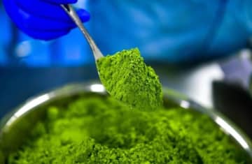 貴州省の山奥にある世界の抹茶ギガファクトリー―中国