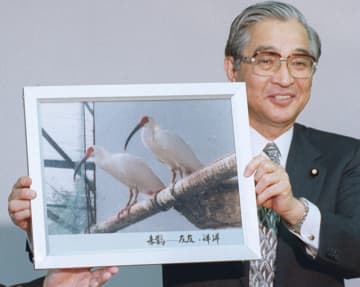 ＜あのころ＞トキの人工繁殖が成功　26年前の5月21日