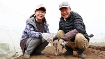 夫婦の夢だったのに…〈退職金2,200万円・年金月24万円〉60歳定年サラリーマン、地方移住から3年で破綻。原因は米寿の義母を祝う会