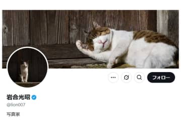 「なかなか撮れません」写真家が海外ロケでメロメロに　“ネコ磁石”炸裂に「羨ましい」の声