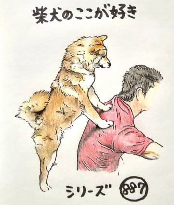 柴犬あるある、犬の肩揉みは癒し効果抜群なとこ｜連載「ここ掘れここ柴」vol.288