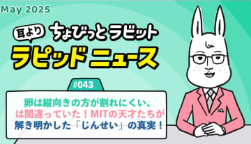 ちょびっとラビット耳よりラピッドニュース #043：卵は縦向きの方が割れにくい、は間違っていた！MITの天才たちが解き明かした「じんせい」の真実！