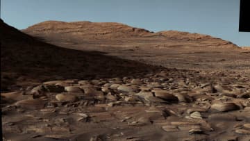 湖の名残り：火星のゲール・クレーターのパノラマ