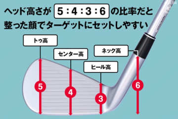 構えやすさは計算済み！ 最新の美顔アイアンに隠された『黄金比』の法則