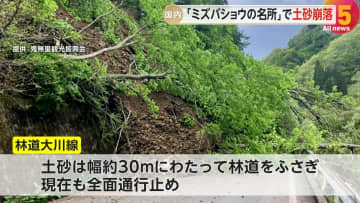「ミズバショウの名所」で土砂崩れ、林道復旧のメド立たず休園に観光客落胆…観光関係者「紅葉シーズンには再開を」長野市